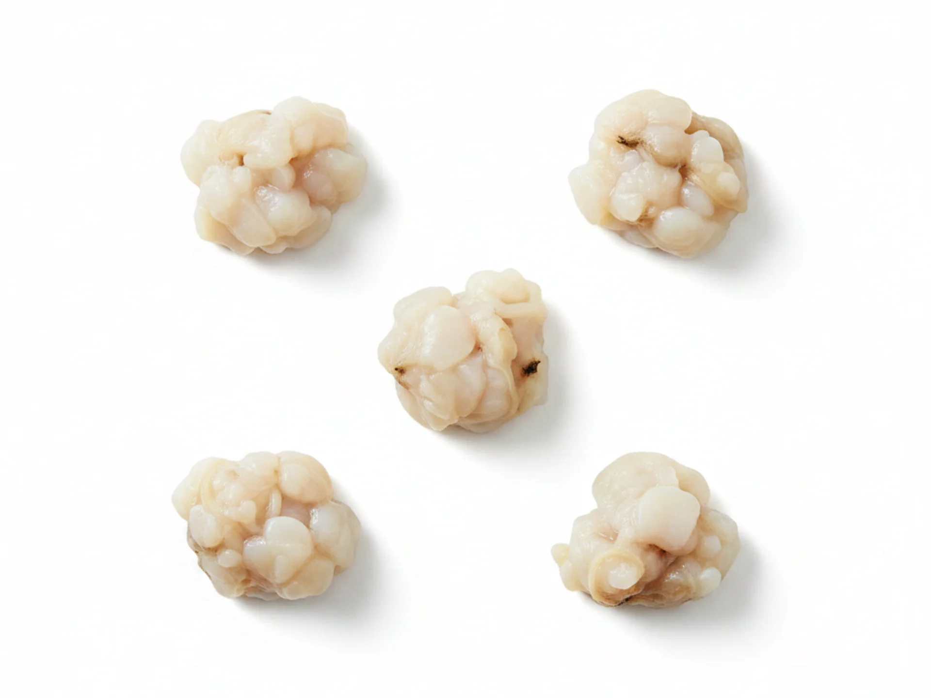 Para bebés de 12 a 18 meses, cocina las almejas hasta que se abran completamente y estén tiernas, luego pica o muele la carne en trozos diminutos y blandos. Mézclalas con alimentos triturados como patatas o arroz para facilitar su manejo y reducir el riesgo de atragantamiento.