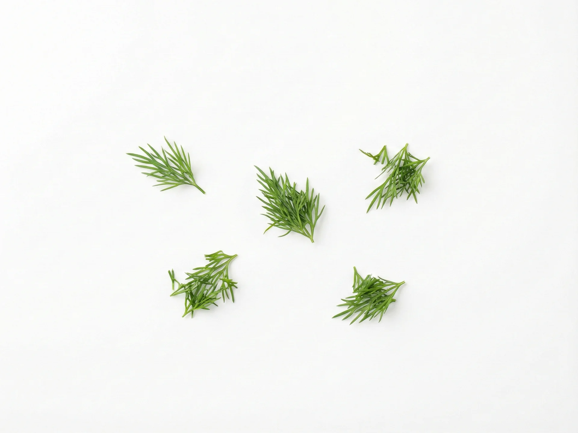 Pour les bébés de 9 mois et plus, vous pouvez proposer des morceaux d'aneth haché légèrement plus gros ou l'incorporer à des plats plus texturés comme des légumes cuits tendres, des plats aux œufs ou du poisson. Cela aide à développer les compétences de mastication tout en profitant de son goût aromatique.