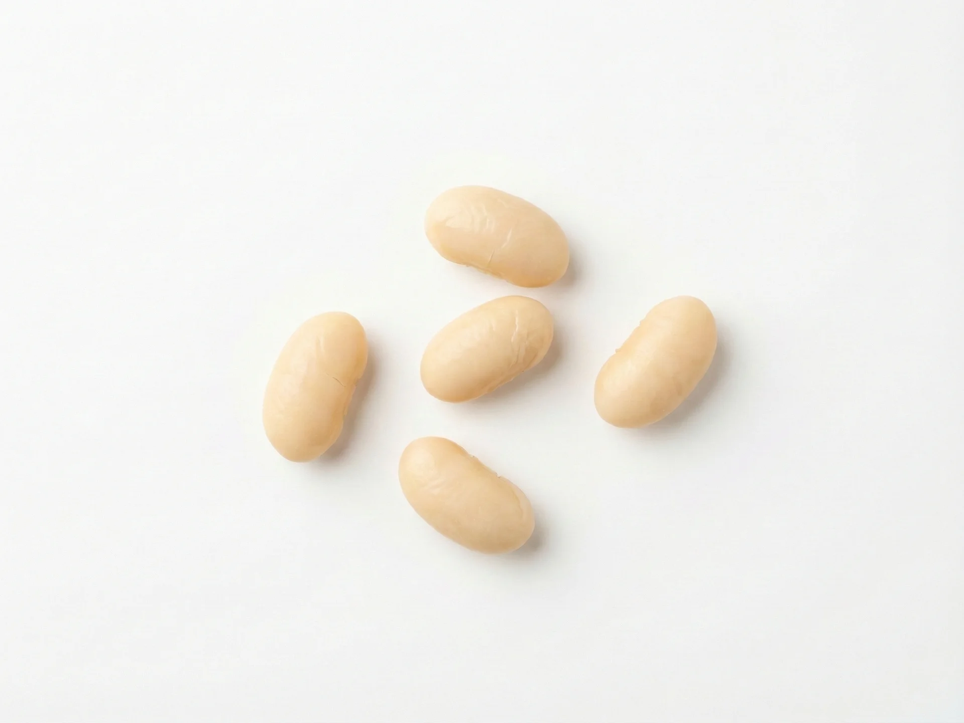 Pour les tout-petits de 12 mois et plus, vous pouvez proposer des haricots blancs entiers cuits tant qu'ils sont très tendres. Continuez à surveiller la mastication et envisagez de les écraser légèrement si nécessaire. Vous pouvez maintenant incorporer les haricots dans les repas familiaux comme les soupes, les ragoûts ou les galettes de légumineuses.