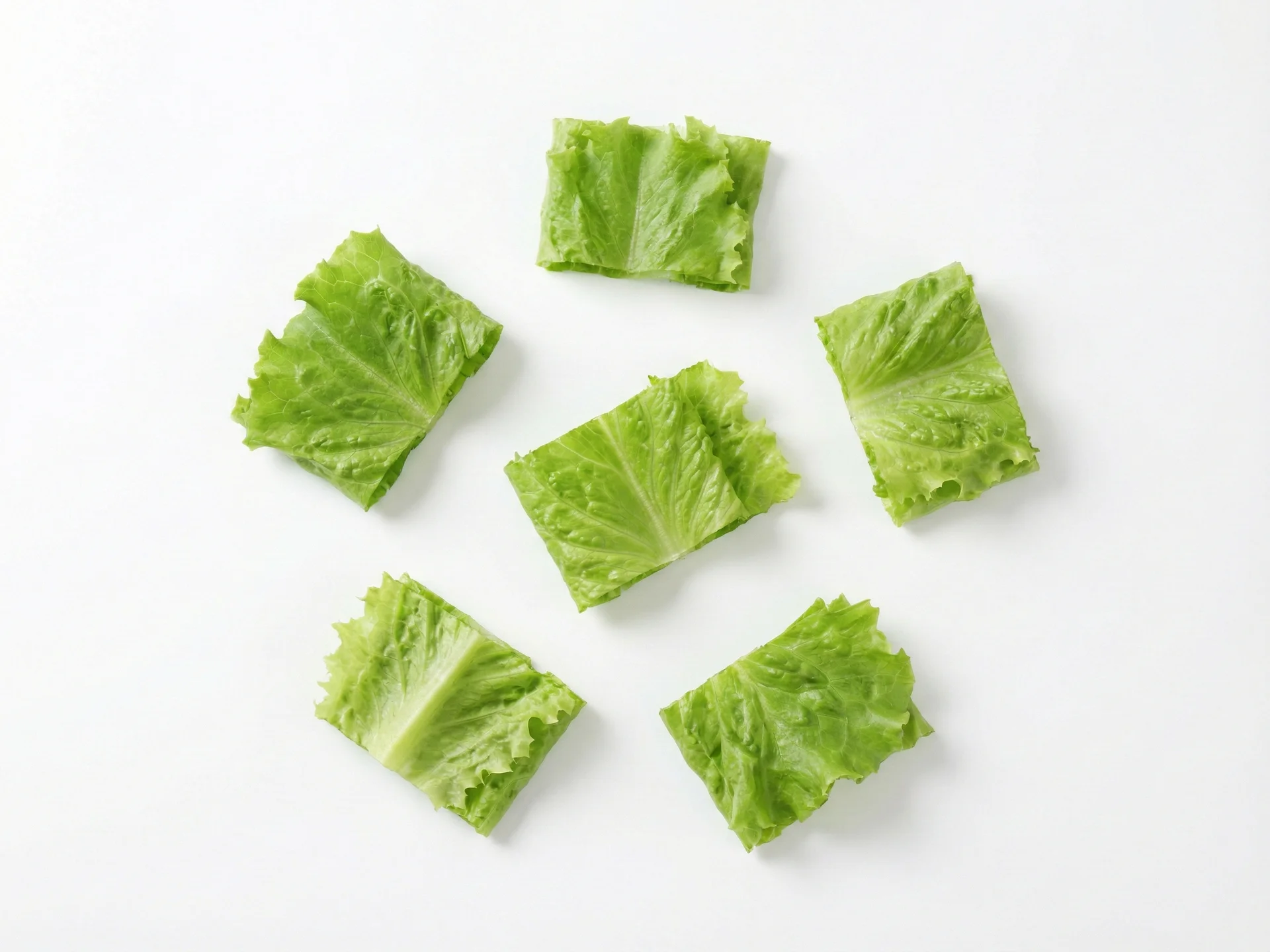 Para crianças a partir de 12 meses, você pode oferecer alface em pedaços maiores ou como parte de saladas. Elas conseguem lidar com mais variedade, como alface picada em pedaços manejáveis, mas continue evitando pedaços pequenos e escorregadios. Incentive a autoalimentação com utensílios conforme as habilidades se desenvolvem.