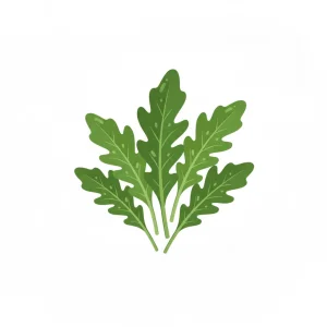 Arugula
