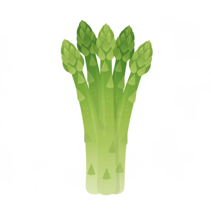 Asperge
