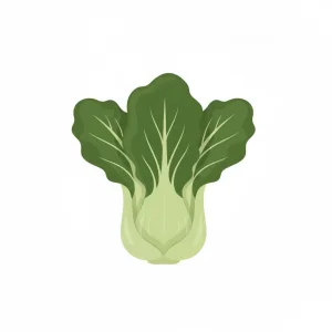 Bok choy