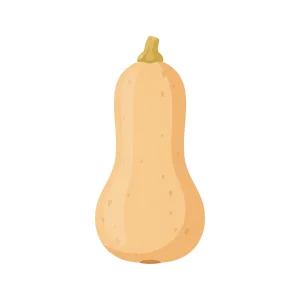 Butternutpompoen