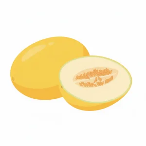 Melon