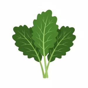 Boerenkool