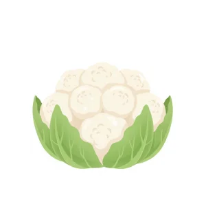Bloemkool