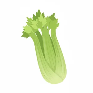 Celer řapíkatý