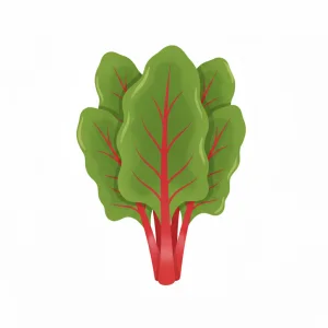 Bietola