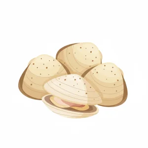 Almejas