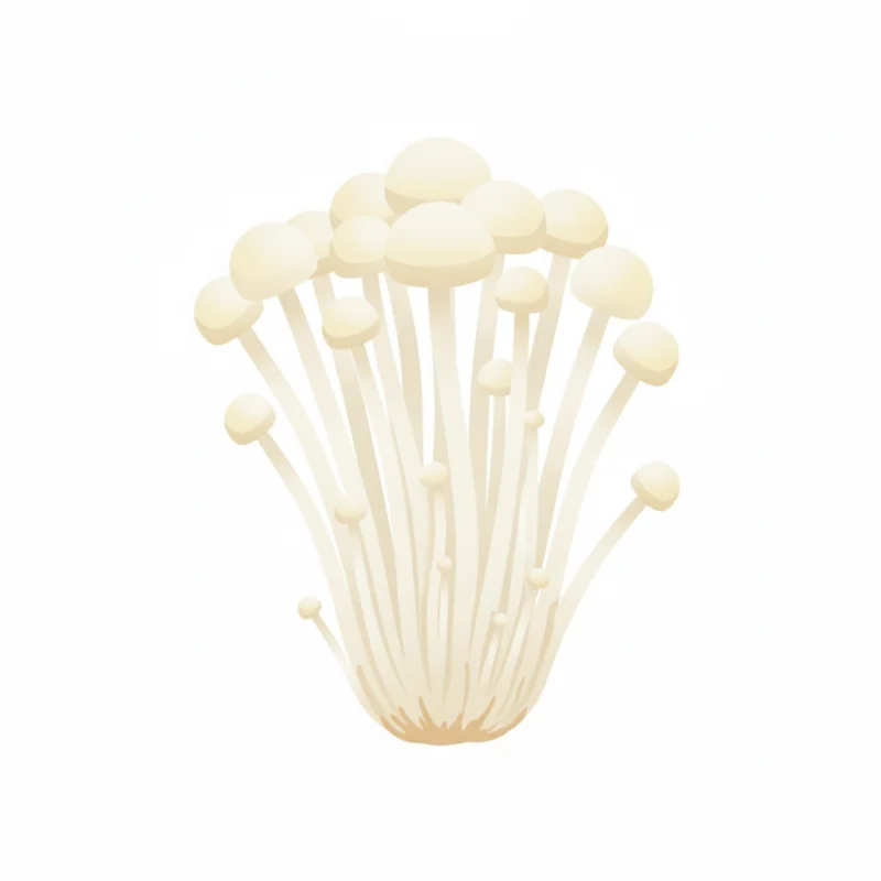 Seta enoki
