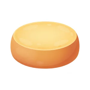 Fontina