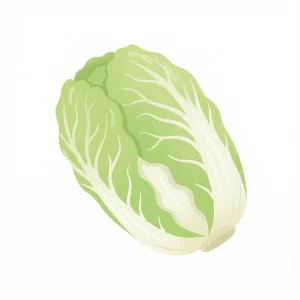 大白菜