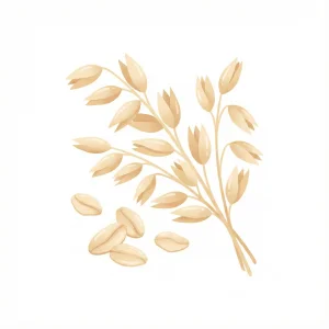 Avena