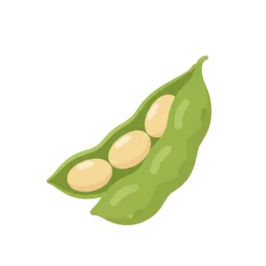 대두
