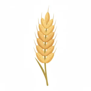 Dinkel