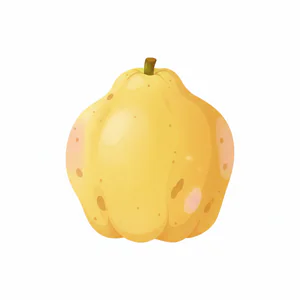 Ayva